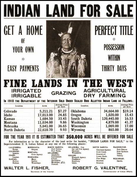 Film poster of Indian Land for Sale